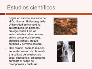 Estudios científicosSegún un estudio  realizado por el Dr. Norman Hollenberg de la Universidad de Harvard, la epicatequina, un polifenol, protege contra 4 de las enfermedades más comunes en los países occidentales: diabetes, cáncer, ataque cardíaco y derrame cerebral. Otro estudio, sobre la relación entre el consumo de chocolate y la calidad de la estructura ósea  cuestiona si su consumo aumenta el riesgo de osteoporosis y fracturas. 