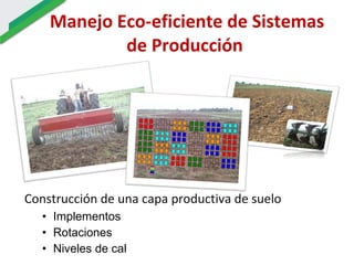 Manejo Eco-eficiente de Sistemas de Producción  Construcción de una capa productiva de suelo Implementos Rotaciones Niveles de cal 