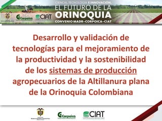 Desarrollo y validación de tecnologías para el mejoramiento de la productividad y la sostenibilidad de los  sistemas de producción  agropecuarios de la Altillanura plana de la Orinoquia Colombiana 