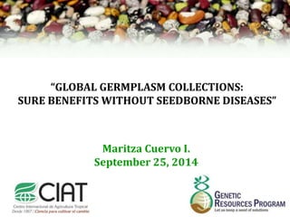 “GLOBAL GERMPLASM COLLECTIONS: 
SURE BENEFITS WITHOUT SEEDBORNE DISEASES” 
Maritza Cuervo I. 
September 25, 2014 
 