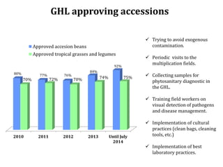 Global germplasm collections: sure benefits without seedborne diseases