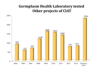 Global germplasm collections: sure benefits without seedborne diseases