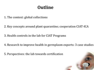 Global germplasm collections: sure benefits without seedborne diseases