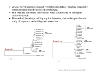 Global germplasm collections: sure benefits without seedborne diseases
