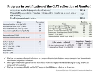 Global germplasm collections: sure benefits without seedborne diseases