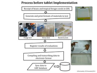 Global germplasm collections: sure benefits without seedborne diseases