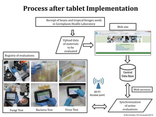 Global germplasm collections: sure benefits without seedborne diseases
