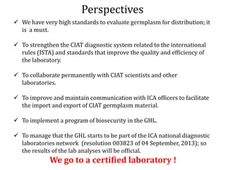 Global germplasm collections: sure benefits without seedborne diseases