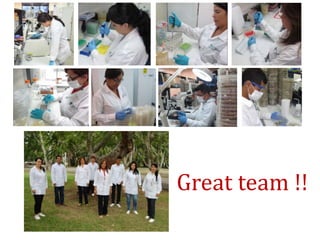 Global germplasm collections: sure benefits without seedborne diseases