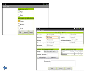 Global germplasm collections: sure benefits without seedborne diseases