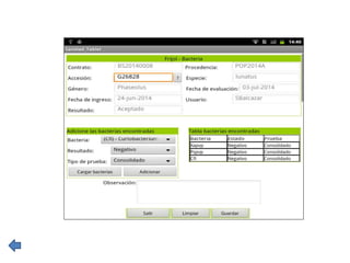 Global germplasm collections: sure benefits without seedborne diseases