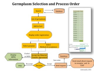 Global germplasm collections: sure benefits without seedborne diseases