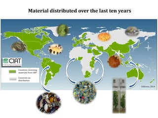 Global germplasm collections: sure benefits without seedborne diseases