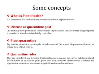 Global germplasm collections: sure benefits without seedborne diseases