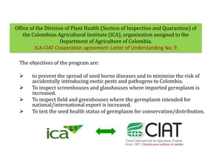 Global germplasm collections: sure benefits without seedborne diseases