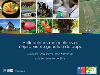 Aplicaciones moleculares al 
mejoramiento genético de papa 
Manuel Muñoz David - INIA Remehue 
M I N I S T E R I Ow wD Ew .AinGiRa.IcClU L T U R A 
4 de Septiembre de 2014 
 