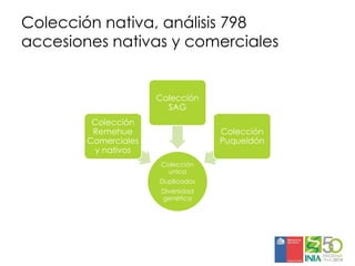 Aplicaciones moleculares al mejoramiento genético de papa