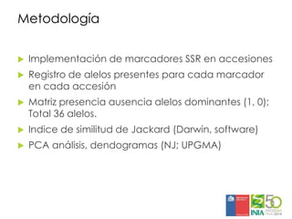Aplicaciones moleculares al mejoramiento genético de papa