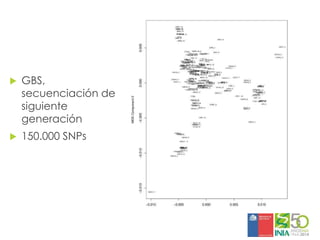 Aplicaciones moleculares al mejoramiento genético de papa