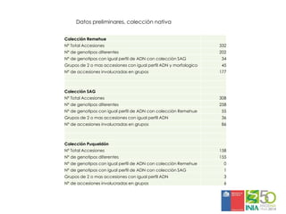 Aplicaciones moleculares al mejoramiento genético de papa