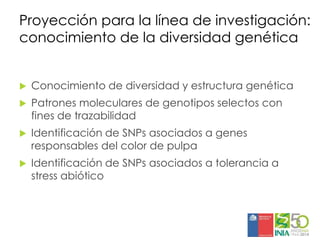 Aplicaciones moleculares al mejoramiento genético de papa