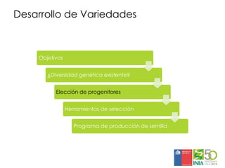 Aplicaciones moleculares al mejoramiento genético de papa