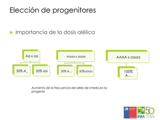 Aplicaciones moleculares al mejoramiento genético de papa