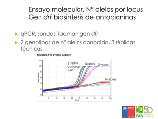 Aplicaciones moleculares al mejoramiento genético de papa