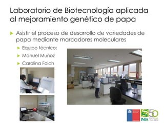 Aplicaciones moleculares al mejoramiento genético de papa