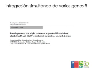Aplicaciones moleculares al mejoramiento genético de papa