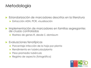 Aplicaciones moleculares al mejoramiento genético de papa