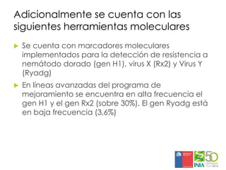 Aplicaciones moleculares al mejoramiento genético de papa