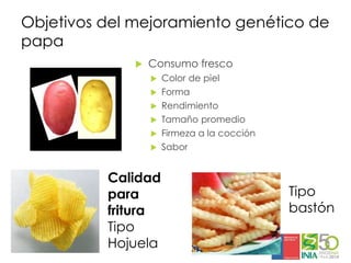 Aplicaciones moleculares al mejoramiento genético de papa