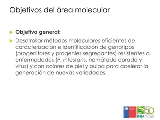 Aplicaciones moleculares al mejoramiento genético de papa