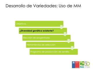 Aplicaciones moleculares al mejoramiento genético de papa