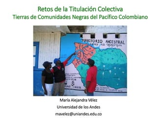 Retos de la Titulación Colectiva
Tierras de Comunidades Negras del Pacífico Colombiano
María Alejandra Vélez
Universidad de los Andes
mavelez@uniandes.edu.co
 