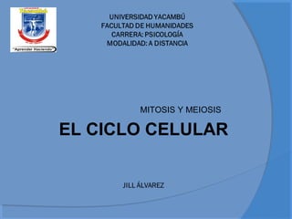 EL CICLO CELULAR
 MITOSIS Y MEIOSIS
 