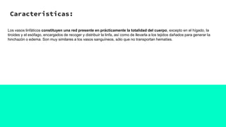 Caracteristicas:
Los vasos linfáticos constituyen una red presente en prácticamente la totalidad del cuerpo, excepto en el hígado, la
tiroides y el esófago, encargados de recoger y distribuir la linfa, así como de llevarla a los tejidos dañados para generar la
hinchazón o edema. Son muy similares a los vasos sanguíneos, sólo que no transportan hematíes.
 