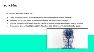 Función:
Las funciones del sistema linfático son:
● Servir de canal a la linfa y así regular la presión del líquido intersticial (presión osmótica).
● Permitir la hinchazón o edema de los tejidos afectados, así como su alivio posterior.
● Distribuir células inmunitarias a lo largo del organismo, conectando a los ganglios y los órganos linfoides.
● Recolectar el quilo, un líquido generado en el duodeno, para colaborar con la captación de las grasas.
 