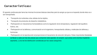 Caracteristicas:
El aparato cardiovascular tiene las mismas funciones básicas descritas para la sangre ya que es el aparato donde ésta va a
ser transportada:
● Transporte de nutrientes a las células de los tejidos.
● Transporte de productos de desecho metabólicos.
● Participación en mecanismos homeostáticos como la regulación de la temperatura, regulación del equilibrio
hídrico, etc.
● Participación en la defensa y comunicación en el organismo, transportando células y moléculas de defensa y
hormonas.
● Participación en la reproducción al proporcionar el mecanismo de erección del pene. Estas importantes funciones
se llevan a cabo por las dos piezas que componen este aparato: el corazón, que actúa como bomba impelente-
aspirante, y una red de distribución constituida por los vasos sanguíneo.
 