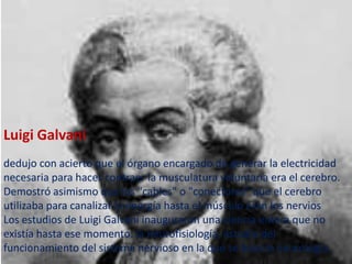 Luigi Galvani
dedujo con acierto que el órgano encargado de generar la electricidad
necesaria para hacer contraer la musculatura voluntaria era el cerebro.
Demostró asimismo que los "cables" o "conectores" que el cerebro
utilizaba para canalizar la energía hasta el músculo eran los nervios
Los estudios de Luigi Galvani inauguraron una ciencia entera que no
existía hasta ese momento: la neurofisiología, estudio del
funcionamiento del sistema nervioso en la que se basa la neurología.
 