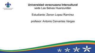 Universidad veracruzana Intercultural
sede Las Selvas Huanzuntlán
Estudiante: Zenon Lopez Ramírez
profesor: Antonio Cervantes Vargas
 