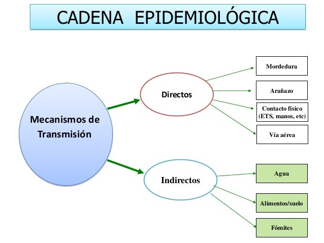 cadena epidemiologica la rabia presentaci 243 n sobre epidemiologia identificacion y cadena epidemiologica la rabia presentaci 243 n sobre epidemiologia identificacion y