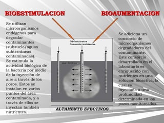 BIOESTIMULACIONBIOESTIMULACION BIOAUMENTACIONBIOAUMENTACION
Se utilizan
microorganismos
endógenos para
degradar
contaminantes
(subsuelo/aguas
subterráneas
contaminadas).
Se estimula la
actividad biológica de
la bacteria por medio
de la inyección de
aire a través de los
pozos. Estos se
instalan en varios
puntos del área
contaminada, y a
través de ellos se
inyectan también
nutrientes.
Se adiciona un
consorcio de
microorganismos
degradadores del
contaminante.
Este consorcio
desarrollado en el
laboratorio es
enriquecido con
nutrientes en una
solución bioactiva, la
cual es
inyectada a una
profundidad
determinada en los
pozos monitoreados.
ALTAMENTE EFECTIVOSALTAMENTE EFECTIVOS
 