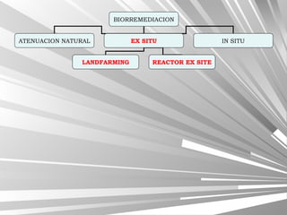 BIORREMEDIACION
ATENUACION NATURAL EX SITU IN SITU
LANDFARMING REACTOR EX SITE
 