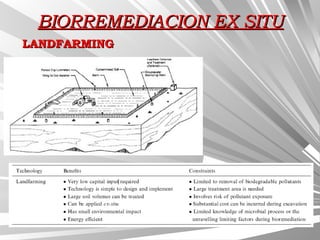 BIORREMEDIACION EX SITUBIORREMEDIACION EX SITU
LANDFARMINGLANDFARMING
 