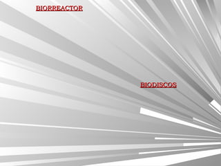 BIORREACTORBIORREACTOR
BIODISCOSBIODISCOS
 