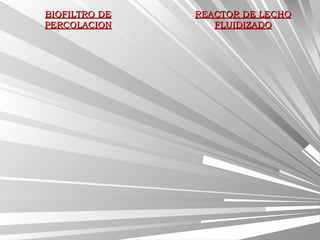 BIOFILTRO DEBIOFILTRO DE
PERCOLACIONPERCOLACION
REACTOR DE LECHOREACTOR DE LECHO
FLUIDIZADOFLUIDIZADO
 