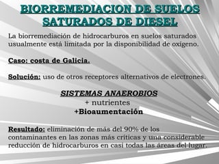 BIORREMEDIACION DE SUELOSBIORREMEDIACION DE SUELOS
SATURADOS DE DIESELSATURADOS DE DIESEL
La biorremediación de hidrocarburos en suelos saturadosLa biorremediación de hidrocarburos en suelos saturados
usualmente está limitada por la disponibilidad de oxígeno.usualmente está limitada por la disponibilidad de oxígeno.
Caso: costa de Galicia.Caso: costa de Galicia.
Solución:Solución: uso de otros receptores alternativos de electrones.uso de otros receptores alternativos de electrones.
SISTEMAS ANAEROBIOSSISTEMAS ANAEROBIOS
+ nutrientes+ nutrientes
+Bioaumentación+Bioaumentación
Resultado:Resultado: eliminación de más del 90% de loseliminación de más del 90% de los
contaminantes en las zonas más críticas y una considerablecontaminantes en las zonas más críticas y una considerable
reducción de hidrocarburos en casi todas las áreas del lugar.reducción de hidrocarburos en casi todas las áreas del lugar.
 