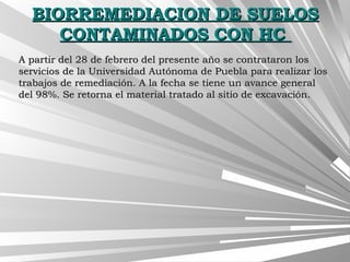 BIORREMEDIACION DE SUELOSBIORREMEDIACION DE SUELOS
CONTAMINADOS CON HCCONTAMINADOS CON HC
A partir del 28 de febrero del presente año se contrataron losA partir del 28 de febrero del presente año se contrataron los
servicios de la Universidad Autónoma de Puebla para realizar losservicios de la Universidad Autónoma de Puebla para realizar los
trabajos de remediación. A la fecha se tiene un avance generaltrabajos de remediación. A la fecha se tiene un avance general
del 98%. Se retorna el material tratado al sitio de excavación.del 98%. Se retorna el material tratado al sitio de excavación.
 